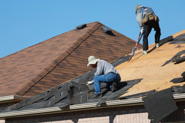 Best Solar Panel Roofing Installation  in Fort Recovery, OH