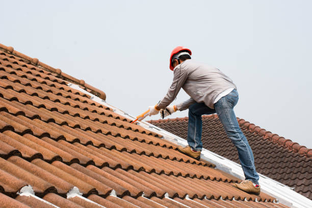 Best Roof Moss and Algae Removal  in Fort Recovery, OH